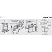 Loncin G200F-B5 196cc / 5.5Hp Engine - 20mm parallel shaft, 2:1 Reduction Box