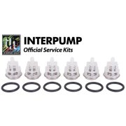 Interpump Service / Repair Kit 150 - valves