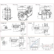 Loncin G200F-M5 196cc / 5.5Hp Engine - 20mm Parallel Shaft