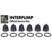 Valve Kit for Interpump WS201