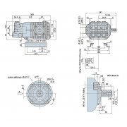 XWF26.20 Annovi Reverberi 24mm Solid Shaft Pump - 200 Bar / 3000 Psi - 1000rpm - 26lpm